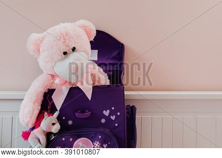 teddy bear in blue bag on wooden chair