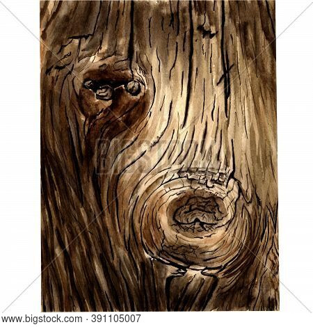 Wood Texture In Watercolor Close - Up, Tree Trunk