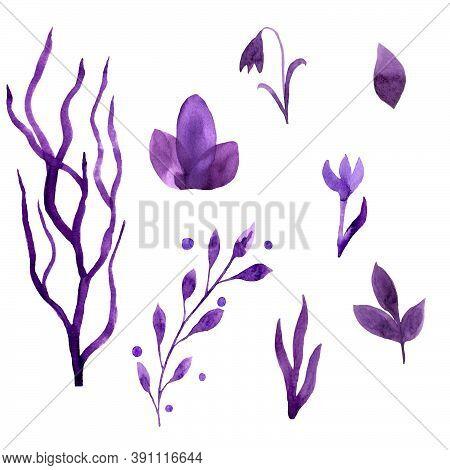 A Set Of Elements Of Lilac Flowers And Leaves In Watercolor On A Transparent Background