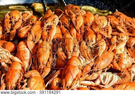 European Crayfishes Astacus Astacus (noble Or Broad-fingered Crayfish, The Most Common Species Of Cr