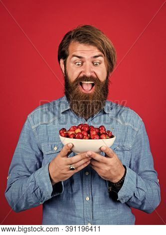Sweet And Soft. Man Holding Ripe Sweet Cherries. Eating Ripe Berries In Early Summer. Fresh Red Sour
