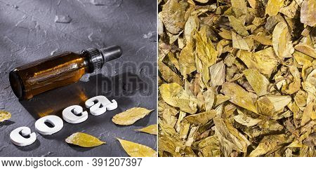 Erythroxylum Coca - Dried Leaves Of The Coca Plant
