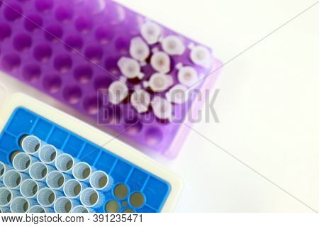 Micro Centrifuge Tube With Blood Sample In Solution, For Testing Anti-biotic With Tips Micropipette 