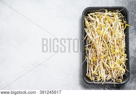 Bean Sprout In Black Plastic Container. White Background. Top View. Copy Space
