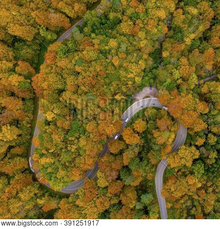 Autumn From Above With A Droneshot Of A Double Curve In A Colorful Forest And Driving Cars, Beautifu