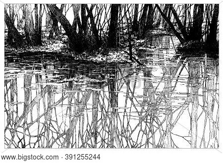 Landscape, Hand-drawn Liner Graphics. Trees Are Reflected In The River. A Great Gift. Picture. Vecto