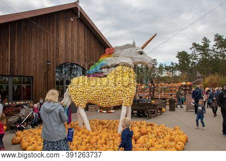 Klaistow, Germany - 22 October 2020: Berlin-brandenburg's Largest Pumpkin Exhibition In 2020 Is Them