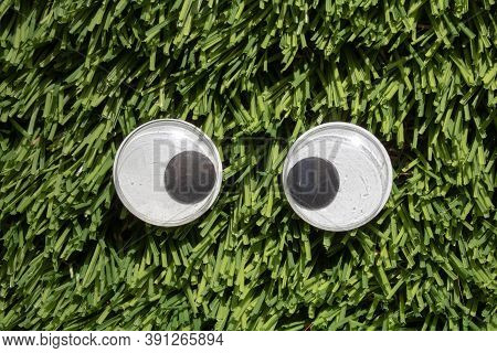 Funny Wiggle Google Eyes On Fabric Silly Fur Carpet Background