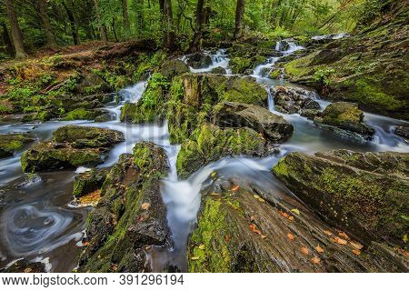 Selke Waterfall In The Harz. River Selke In The Southern Harz On A Rainy Autumn Day. River Between R