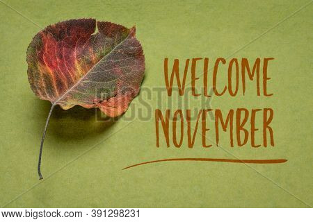 welcome November handwriting on handmade green rag paper witha dried leaf of Asian pear tree, season concept