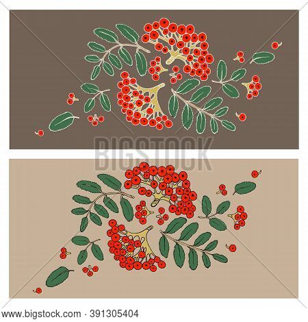 Colored Rowan Berries And Leaves Pattern Isolated On White Background. For Postcard, Design, Pattern