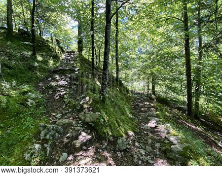 Trails For Walking, Hiking, Sports And Recreation Along The Waterfalls Giessbach Falls And In The Cr