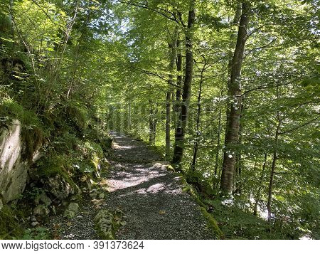 Trails For Walking, Hiking, Sports And Recreation Along The Waterfalls Giessbach Falls And In The Cr
