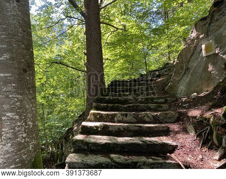 Trails For Walking, Hiking, Sports And Recreation Along The Waterfalls Giessbach Falls And In The Cr