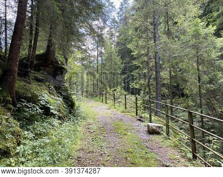 Trails For Walking, Hiking, Sports And Recreation Along The Waterfalls Giessbach Falls And In The Cr