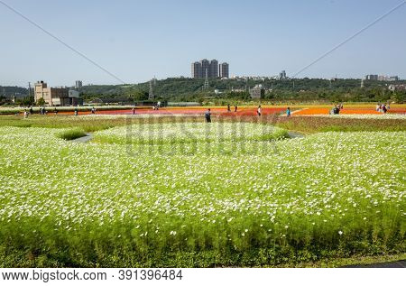 Daxi, Taiwan - November 15th, 2019: tourists walk at the garden in Daxi event of Taoyuan Flower Festival in Taoyuan, Taiwan, Asia