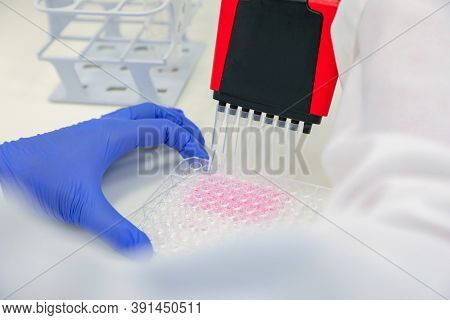 Lab Testing. Scientist Holding Multi Channel Pipette. Medical Research In A Lab. Corona Virus And Va