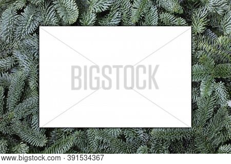 Blank greeting card over Natural noble fir Christmas tree background , copy space for text