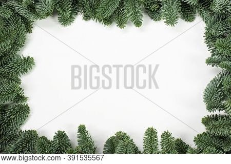Natural noble fir Christmas tree border frame isolated on white , copy space for text