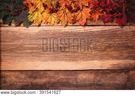 Colorful Autumn Leaves With Dogberry Over A Textured Vintage Rustic Wooden Background