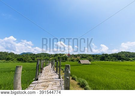 Sutongpe Wooden Bridge That Crosses Rice Fields To Temples In Mae Hong Son Province In Thailand.