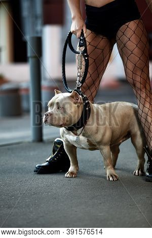 Sexy And Srong Brunette Woman Posing With Bully Dog On City Street, Looking At Camera.