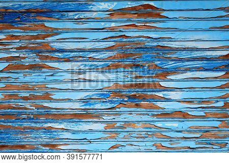 Wooden Background With Peelable Paint. Vintage Or Grungy Background From Blue Paint. Conceptual Or M