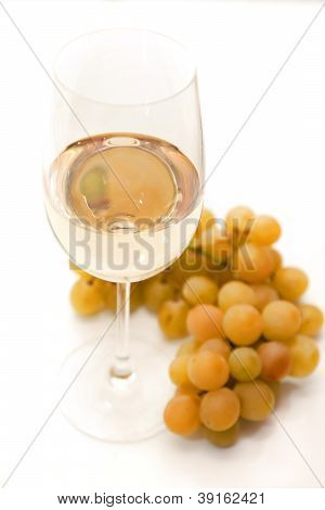 화이트 와인, 포도