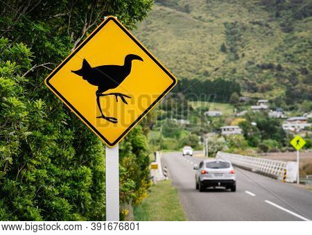 Road Sign Warning The Presence Of Pukeko, Native Bird In New Zealand.