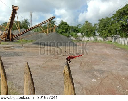 Black Colored Stone Stock With Refine Machine