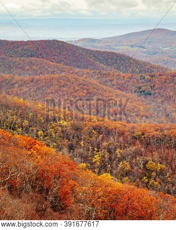 The Priest Wilderness Landscape Is A U.s. Wilderness Area In The Glenwood, Pedlar Ranger District Of