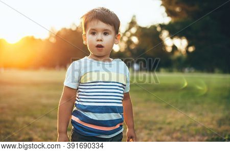 Adorable Caucasian Boy Posing In Casual Clothes In A Field With A Sunset On Background