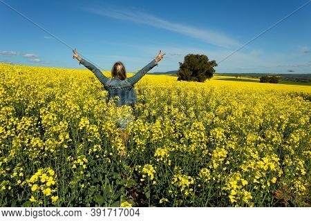 Farm Girl In Bumper Crop Of Canola Blooming In The Spring