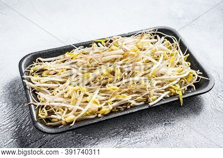Bean Sprout In Black Plastic Container. White Background. Top View