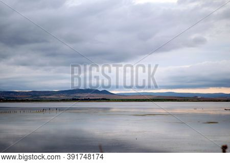 The Salty Lake Pomorie. A Swarm Of Sea Gulls Is Sitting On A Multiple Wooden Polls Stucked Into A Sa