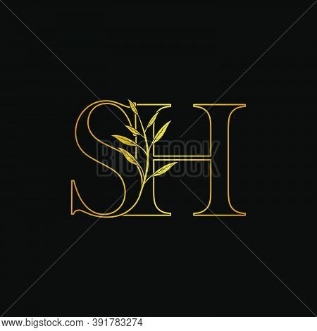 Golden Initial S And H, Sh, Hs Letter Logo Icon, Outline Vintage Design Concept Classic Nature Leave