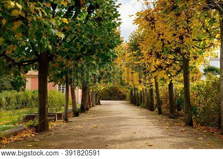 Rococo Chateau With A Distinguished Facade, Amazing Castle Garden, Alley Of Trees In The Castle Dobr
