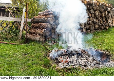 Burning Tree Bark. Outdoor Fireplace. Disposal Of Bark Beetles. Work On The Farm. Burning Fire.