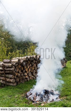 Burning Tree Bark. Outdoor Fireplace. Disposal Of Bark Beetles. Work On The Farm. Burning Fire.