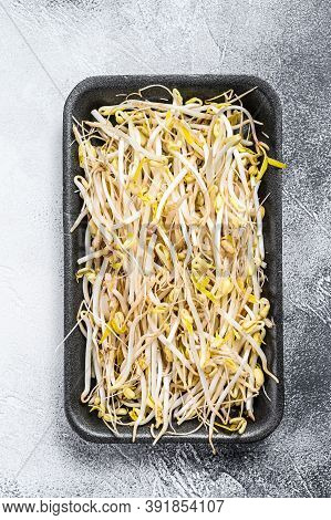 Bean Sprout In Black Plastic Container. White Background. Top View