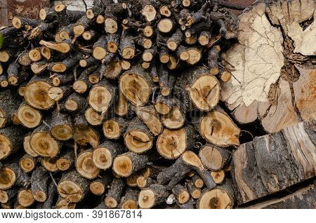 Sawn Timber Yards Folded Against The Wall. Dry Quince Tree Sawn Into Logs For The Furnace In The Sto