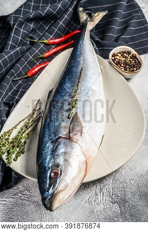 Fresh Whole Japanese Amberjack. Raw Fish Yellowtail. Gray Background. Top View