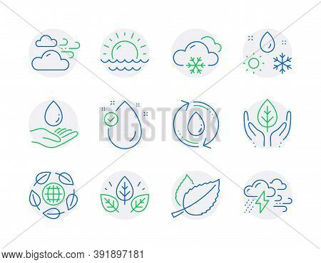Nature Icons Set. Included Icon As Water Care, Fair Trade, Windy Weather Signs. Snow Weather, Organi