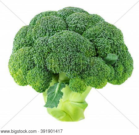 Raw Broccoli  Isolated On White Background, Close-up.