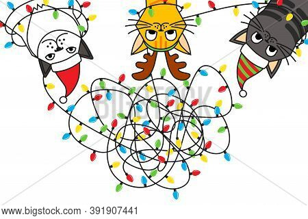 Cats Tangled Christmas Lights In Christmas Costume