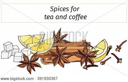 A Set Of Spices For Hot Winter Drinks: Cinnamon, Anise, Lemon And Vanilla. Vector Illustration Isola