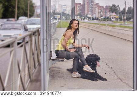 Female Owner With Briard Wait For Tram.