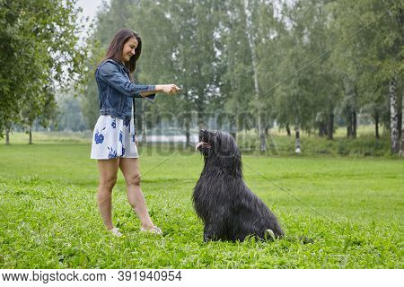 Woman Trains Briard In Park During Walking.