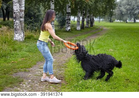 Briard And Woman Play In Public Park.