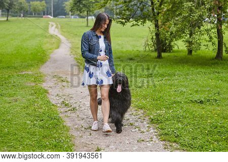 Briard And Owner Are Walking In Park.